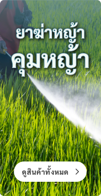 ยาฆ่าย่า