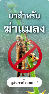 ยาฆ่าแมลง