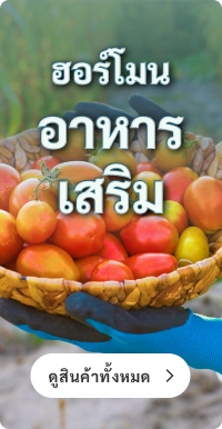 ฮอร์โมน-อาหารเสริม